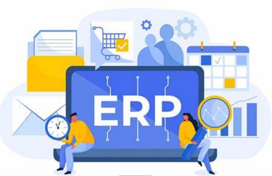 ERP軟件：企業(yè)運(yùn)營(yíng)的智慧引擎