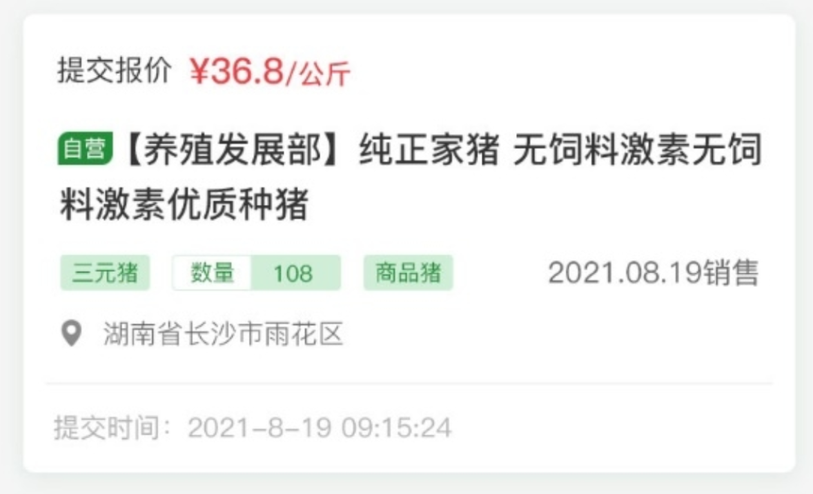 云邁科技生豬競價系統(tǒng)：開啟生豬交易新時代?